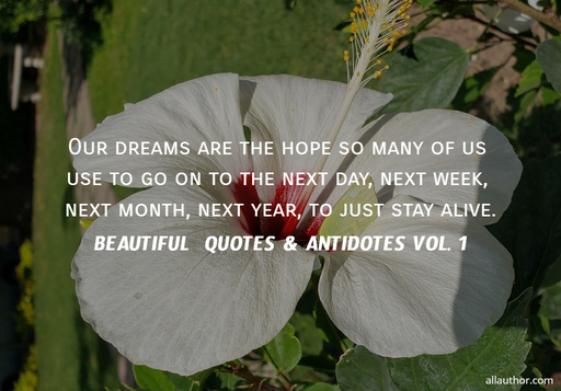 1582283247020-our-dreams-are-the-hope-so-many-of-us-use-to-go-on-to-the-next-day-next-week-next.jpg
