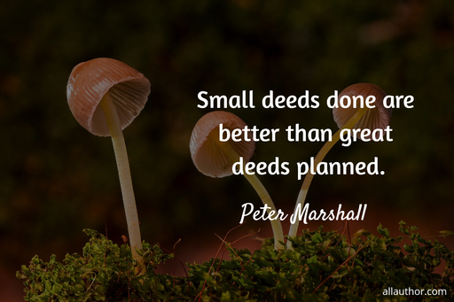 small deeds done are better than great deeds planned...