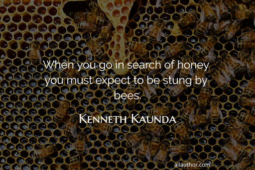 when you go in search of honey you must expect to be stung by bees...