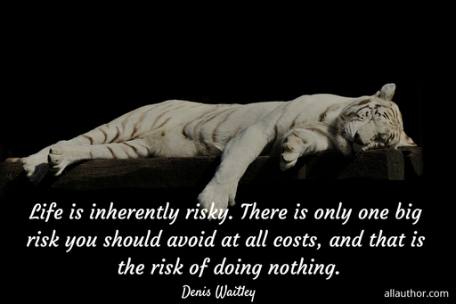 life is inherently risky there is only one big risk you should avoid at all costs and...