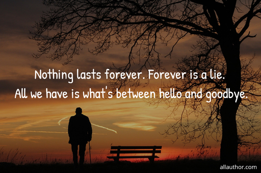 nothing lasts forever forevers a lie all we have is whats between hello and goodbye...