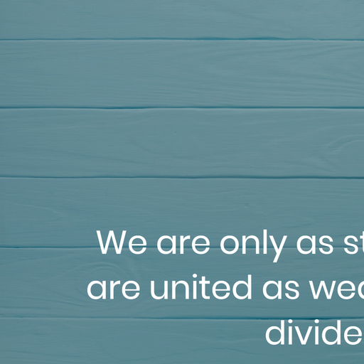 we are only as strong as we are united as weak as we are divided...