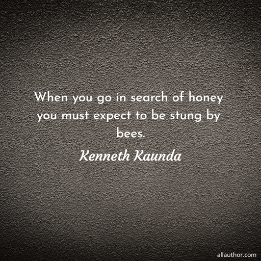 when you go in search of honey you must expect to be stung by bees...