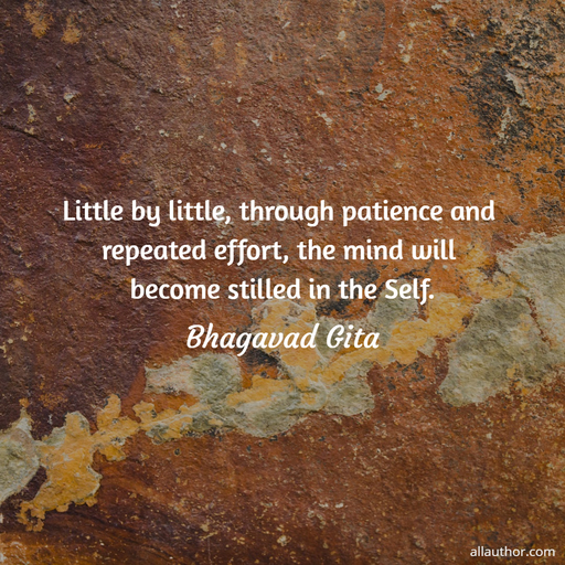 little by little through patience and repeated effort the mind will become stilled in...