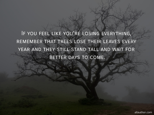 if you feel like youre losing everything remember that trees lose their leaves every...