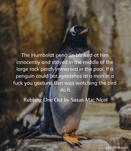 the humboldt penguin blinked at him innocently and stayed in the middle of the large rock...