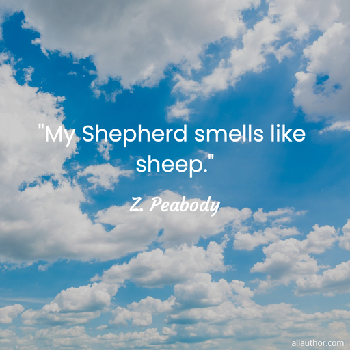 1682861770273-my-shepherd-smells-like-sheep-.jpg