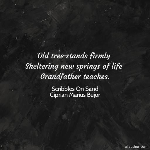 1700131312988-old-tree-stands-firmly-sheltering-new-springs-of-life-grandfather-teaches-.jpg