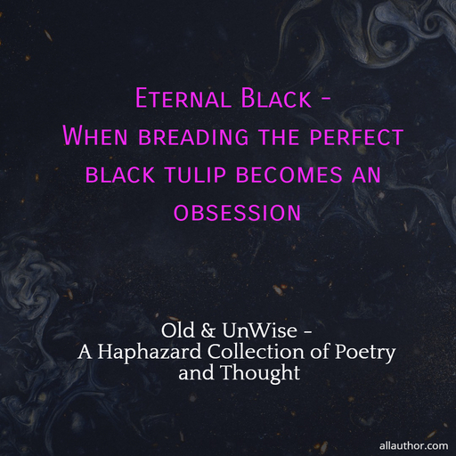 1727382799459-eternal-black---when-breading-the-perfect-black-tulip-is-the-obsession-of-a-tulip-grower.jpg